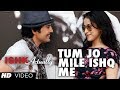 Tum Jo Mile Ishq Mein Lyrics - Ishq Actually