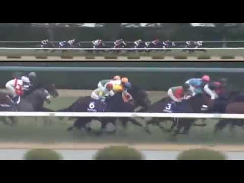 2014.12.21 Asahi Hai Futurity Stakes (JPN) - Danon Platina