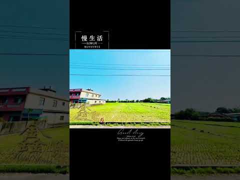 新屋區-槺榔段農地出售 第1張共6張