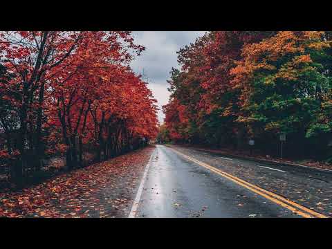 Dr. Alban Feat Adriana - It's My Life (Dj Nejtrino & Dj Stranger Mix)