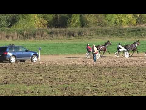 Trka "Stara opština" 24.10.2021 Serial Killer NP - Boris Kečenović