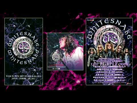 Whitesnake - 2015-10-27 Hiroshima - Soundcheck