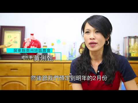 新新向農 永續繁榮 - 農業缺工屏東南州技術團