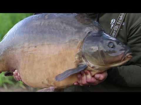 Karpfenangeln 2020 Dreambaits TV SessionVlog - Mit 90Kg Boilies zum Fangrausch am Baggersee -Trailer