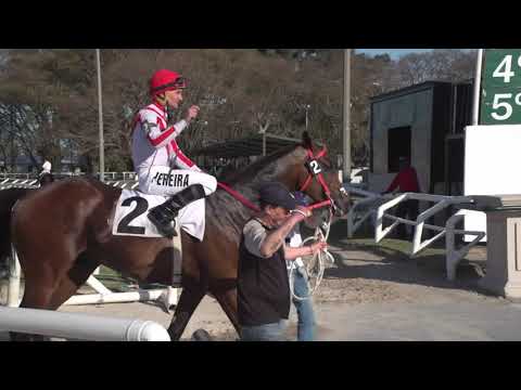 maroñas 190929 c06 GP Honor