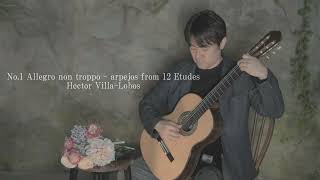 Download lagu Hector Villa-Lobos /No.1 Allegro non troppo | エチュード1番 / エイトル・ヴィラ=ロボス | performed by Taizo Yamada mp3 Download lagu Hector Villa-Lobos /No.1 Allegro non troppo | エチュード1番 / エイトル・ヴィラ=ロボス | performed by Taizo Yamada mp3