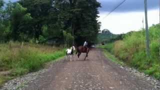 preview picture of video 'Friday Afternoon Rush Hour in San Buenaventura, Costa Rica'