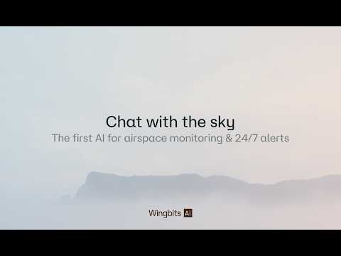 Wingbits AI 소개 영상