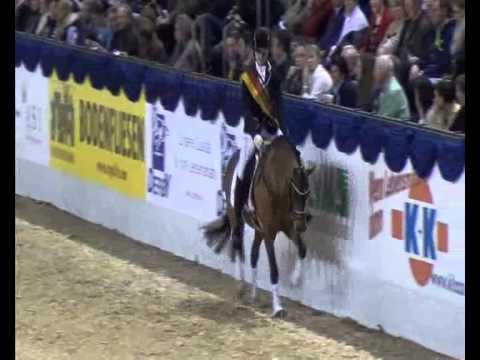 COSMOPOLITAN D BH., geb. 2010 v. FS Champion de Luxe x Marsvogel xx