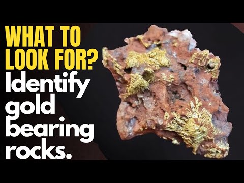 How to Identify Gold in Rocks and Quartz: Essential Tips for Prospectors That Want Success!