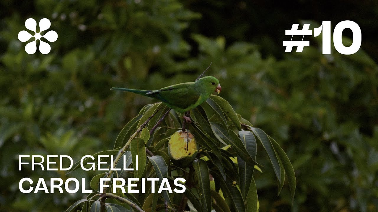 asterisk #10 - Ecossistemic businesses: Redesigning organizations inspired by nature