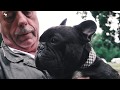 INTERNATIONALE RASSEHUNDE-AUSSTELLUNG - MEISDORF
