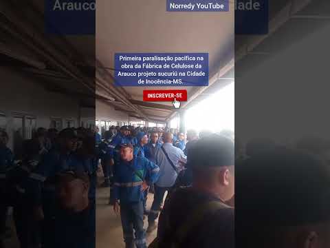 Paralisação na fábrica de celulose da Arauco, projeto sucuriú na Cidade de Inocência-MS.