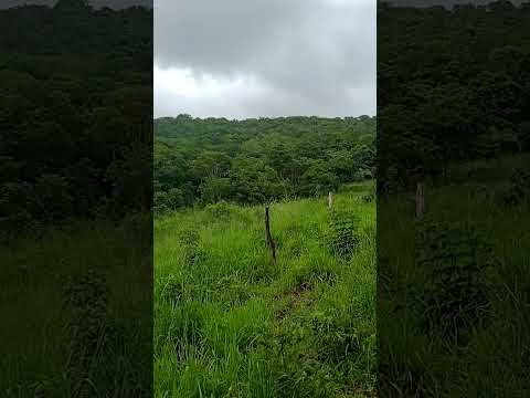 Pernoite de barraca na serra do brejo em Coité do Nóia -AL.