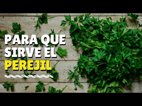 Perejil: 6 beneficios para la salud y digestión