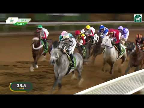 サウジカップ（G1） 2024/2/24(土) | 日程・結果 | JRA-VAN World