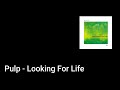 Pulp - Looking For Life (Lyric Video)