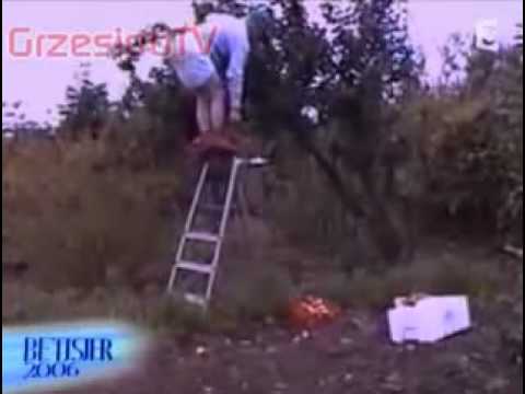 Cele mai tari faze , mori de ras !