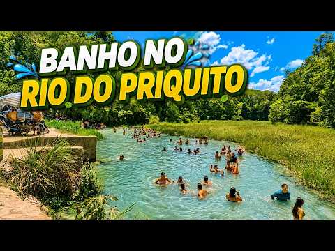 BANHO NO RIO DO PRIQUITO | INFORMAÇÕES IMPORTANTES | MARECHAL DEODORO - AL