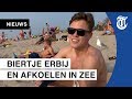 Tweede hittegolf is een feit: ‘Het is genieten’