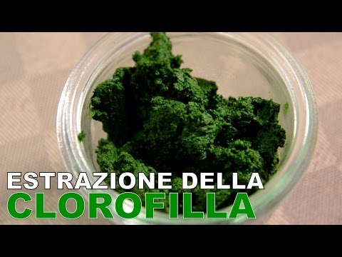 Estrazione della clorofilla - Tecniche di base