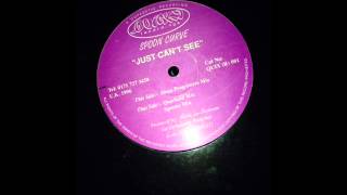 Spoon Curve - Just Can't See (Hopa Progressive Mix)