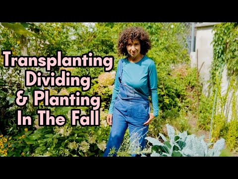 Urban Garden Companion LLC video.