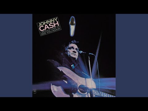 I Would Like to See You Again