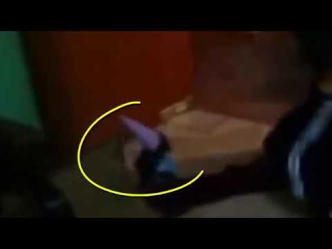 funny gnomes- Gnome caught on camera in home - Mexican Gnome real/ Gnome real in Haus auf Kamera