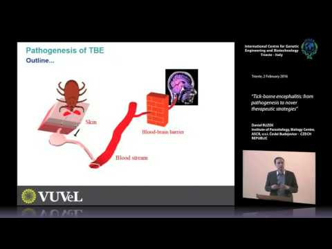 D. Ruzek - “Tick-borne encephalitis: from pathogenesis to nover therapeutic strategies”
