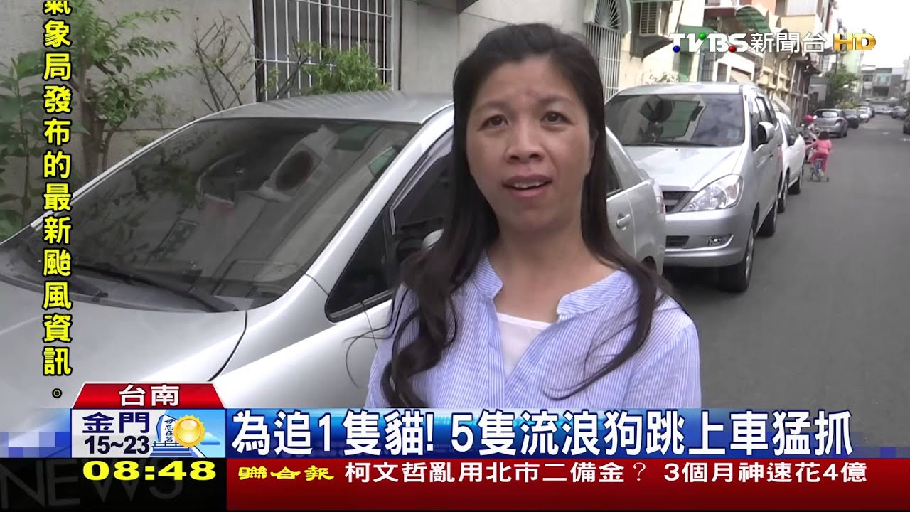 傻眼！愛車被刮花　兇手竟然是流浪狗
