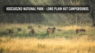 Long Plain Hut Campground, Kosciuszko National Park, Yarrangobilly, Grey Nomads Ep-119