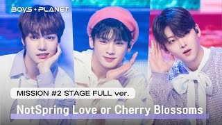 Cover art for not spring, love, or cherry blossoms