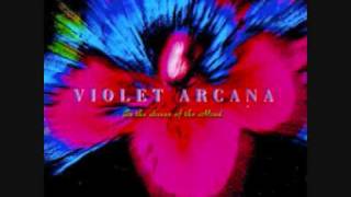 Violet Arcana - Consciousness in the Well
