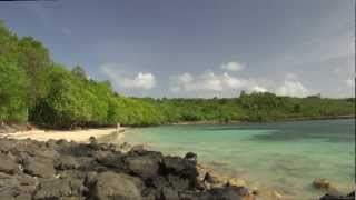 preview picture of video 'Martinique : Plage de la Pointe Borgnèse'