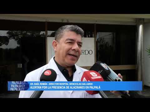 Alertan sobre la presencia de alacranes en Palpalá