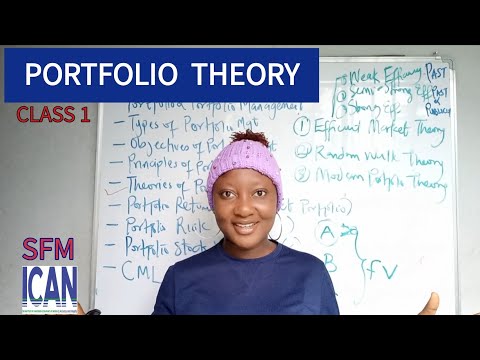 PORTFOLIO THEORY: Introduction to Portfolio Management + Risk & Return on Portfolio (ICAN SFM)