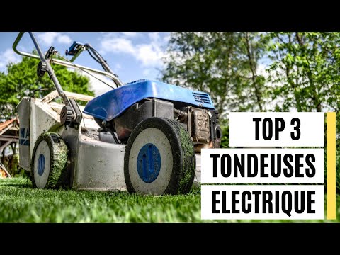 Tondeuse électrique : arnaque ou bonne affaire en 2024 ?