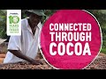 10 Years Of Cocoa Life Connected Through Cocoa