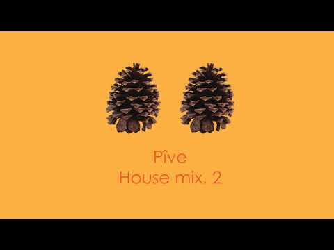 Pîve - House mix. 2 ¦ Earth n Days ¦ Ron Carroll ¦ Format:B ¦ Eddie Amador ¦ Nic Fanciulli & more