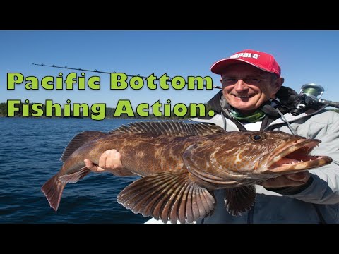 Csf 33 10 Pacific Saltwater Bottom Fishing Action.