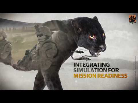 Bagira Systems from 1973 to date - Ready for Mission