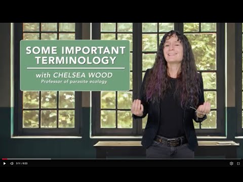 Some important terminology