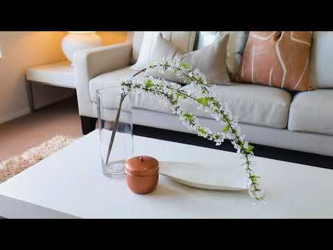 74 Barbarich Drive, Stonefields - John Q