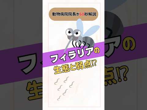 レプトティフロップスについて詳しく解説