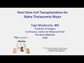 Fetal Stem Cell Transplantation for Alpha Thalassemia Major - Tippi Mackenzie