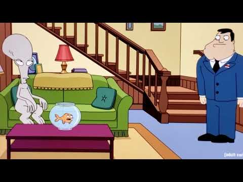 I haven't even had my cactus cooler and tray of Vienna sausages - Am Dad- Stan