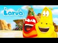 ISLAND ADVENTURE LARVA Cartoons For Kids WildBrain Kids
