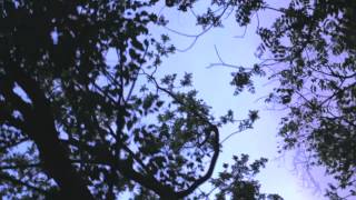 Columbia Nights - As You Are