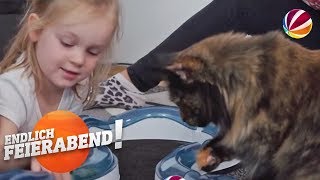 Katzen-Spielzeug im Test: Was sind die besten Gadgets? | Endlich Feierabend! | SAT.1 TV